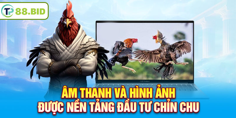 Âm thanh và hình ảnh được nền tảng đầu tư chỉn chu 