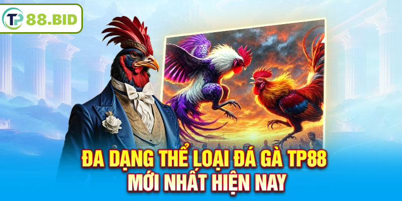 Đa dạng thể loại Đá Gà TP88 mới nhất hiện nay