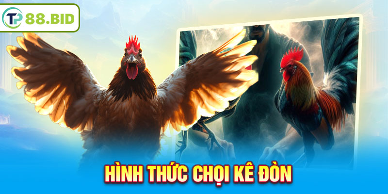 Hình thức chọi kê đòn